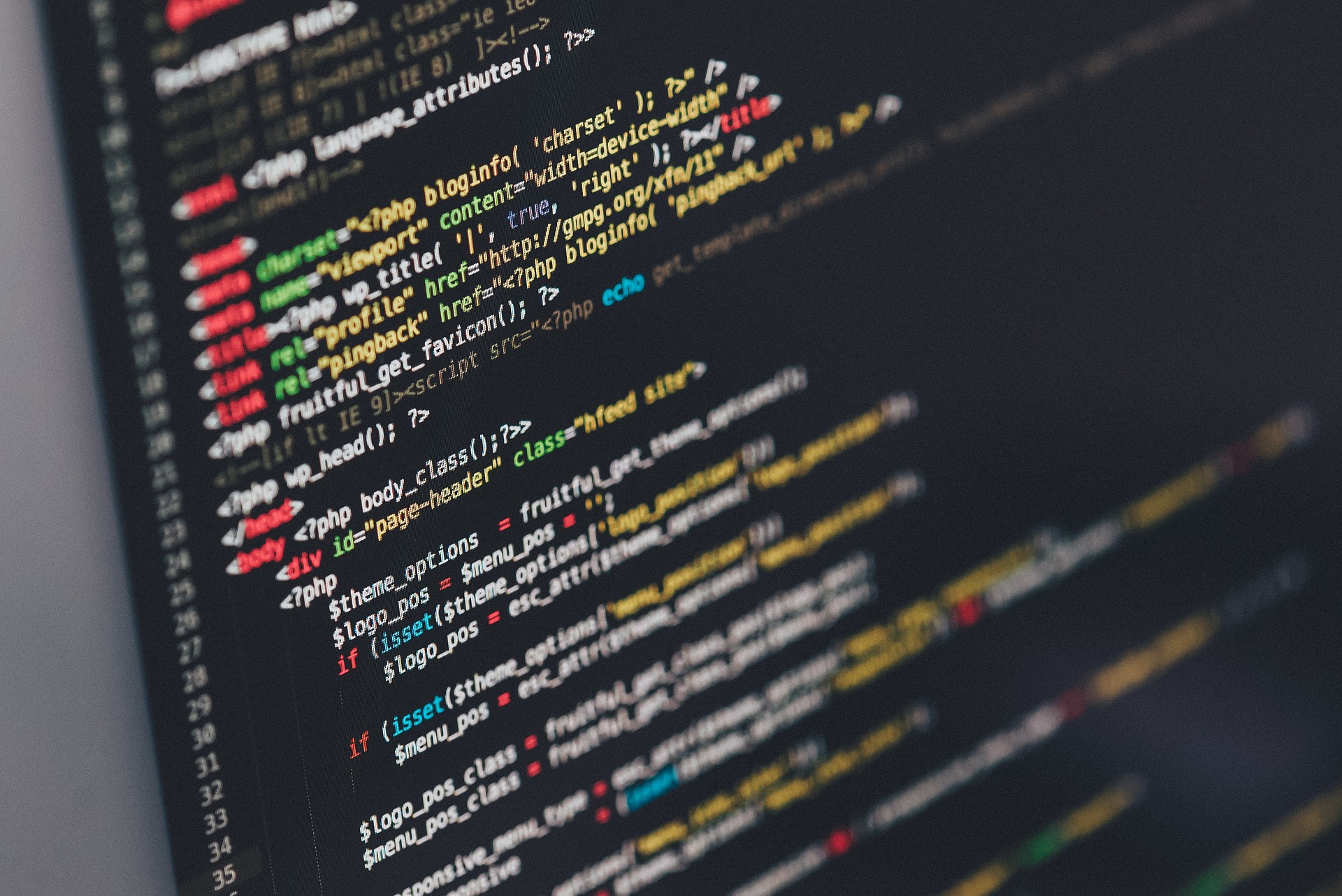 Softwareentwicklung